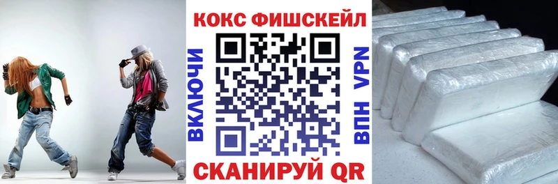 Купить  Тара  COCAIN FishScale 