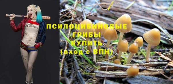 стафф Покров