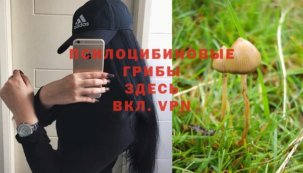 стафф Покров
